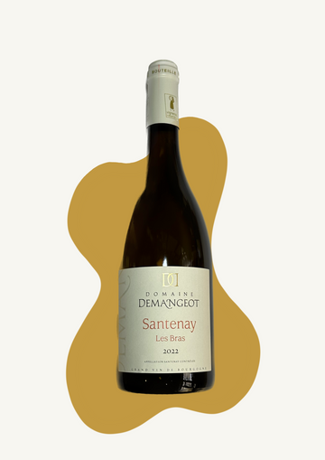 Santenay (white) - Domaine Demangeot - 2022