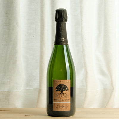 Champagne "Le Métèque" Blanc de Blancs - G. Marteaux