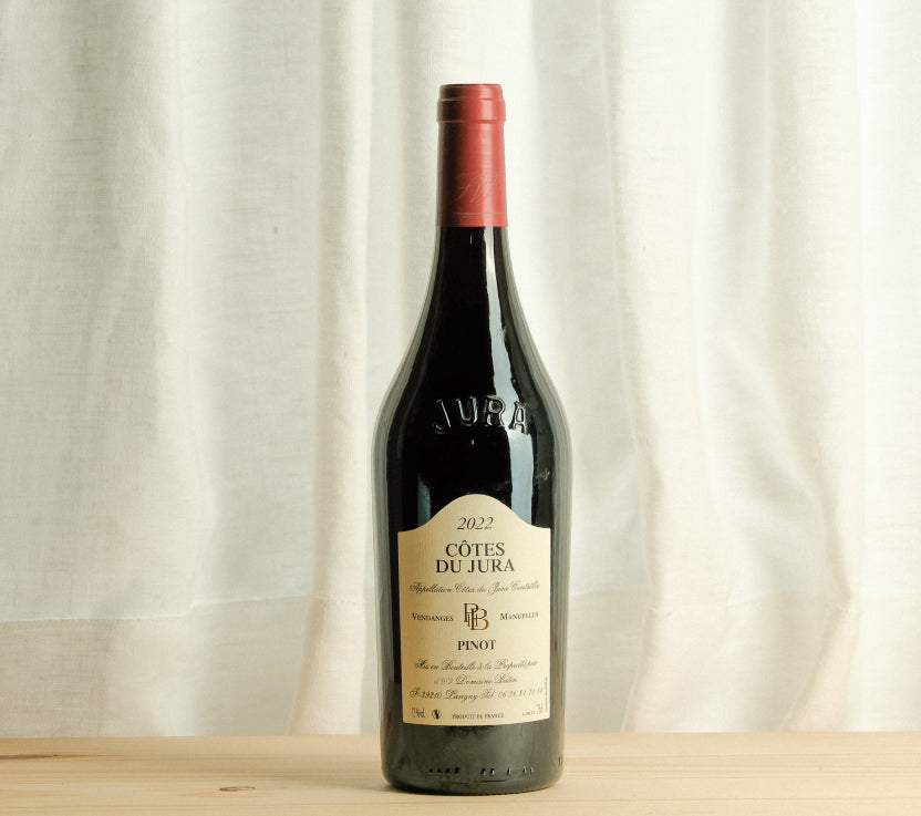 Côtes du jura red - Pinot noir - Domaine Butin - 2022