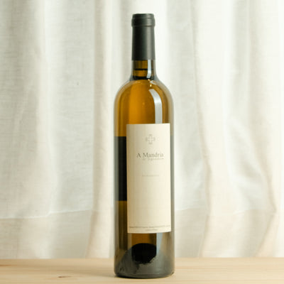 Patrimonio "A mandria" B – Clos Signadore – 2019